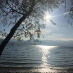 Aysenur