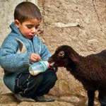 Merve