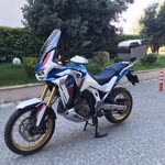Serdar