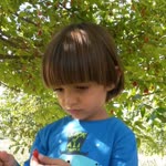 Cem