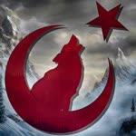 Hanifi