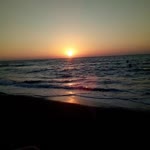 Havva