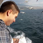 Ulaş