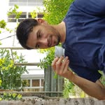 Ertan