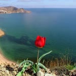 Gülden