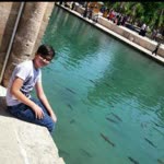 Yunus