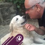 Bahri