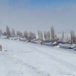 Ertuğrul