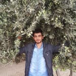 Süleyman