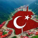 Profil fotoğrafı