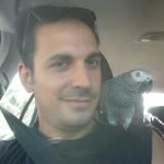 Aykut