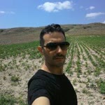 Mevlüt