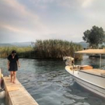 Ayşenur