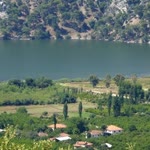 Osman