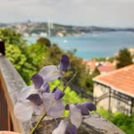 Esragül