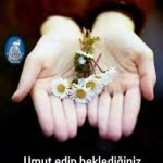 Ayse