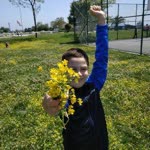 Pinar