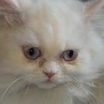 Eylül