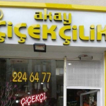Erol