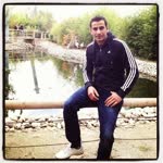 Lütfi