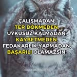 Tolga
