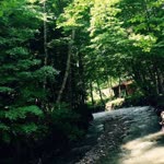 Sema
