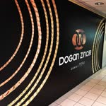 Doğan