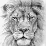 Engin