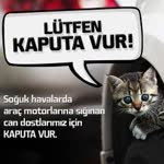 Ceren