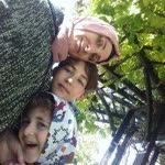 Havva
