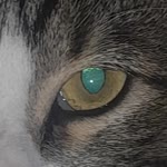 Ali