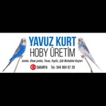 Yavuzkurt