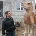 Resul