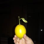 Aysaç