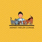 Ahmet