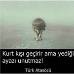 Kerim