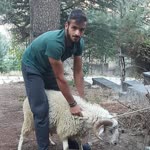 Yasin