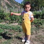Aynur