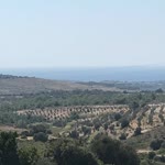 Nisan