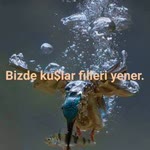Seçil