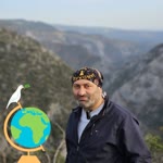 Ali