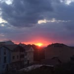 Yasemin