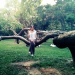Damla