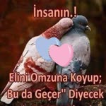 Kadir
