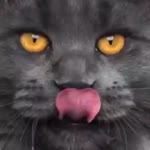Arif