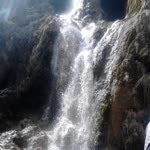 Halime