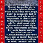 Seydi