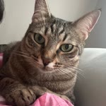 Eftalya