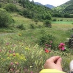 Seçil