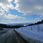 Davut